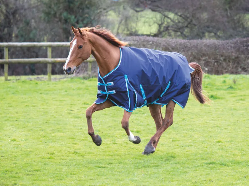 Bridleways Light Weight Turnout Rug in Navy